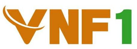 VNF1 logo